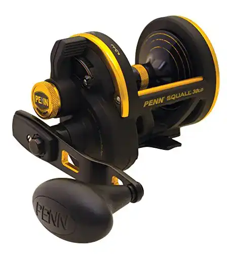 Die beste Penn-Rollen Penn Squall Lever Drag SQL30LD 2026 Test Bestseller Penn-Rollen Penn Squall Lever Drag SQL30LD