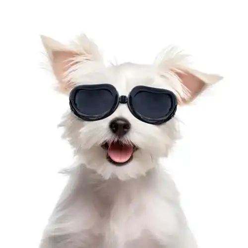 Hundebrille Namsan Sonnenbrillen für Hunde UV Schutzbrille