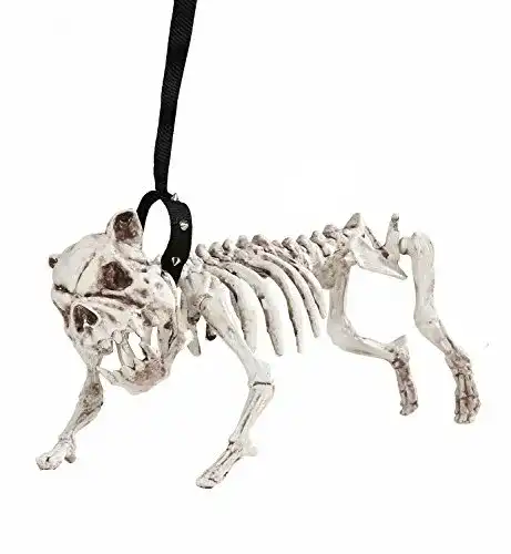 Hundeskelett WIDMANN 01373 Skelett Hund mit Leine, 45 cm