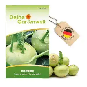 Kohlrabi-Samen Deine Gartenwelt Kohlrabi Superschmelz Samen