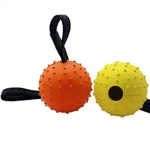 Robustes-Hundespielzeug Vivifying Hundeball auf einem Seil, 2 St.