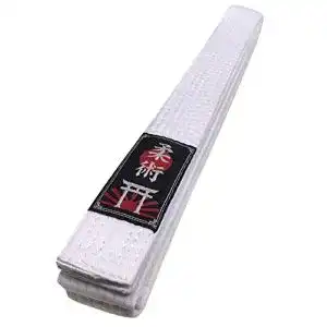 Bjj-Gürtel Budodrake Ju Jutsu/Jiu-Jitsu Gürtel weiß (200)