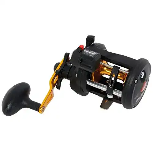 Die beste Multirolle mit Zählwerk WFT Offshore II LW LC 10 LH 2026 Test Bestseller Multirolle mit Zählwerk WFT Offshore II LW LC 10 LH
