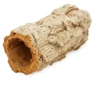 Korkröhre NaDeco Korkeiche ‘Maxi’, Länge ca. 20 cm, Dm 5