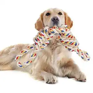 Kauspielzeug Hund YUNXANIW Hundespielzeug Seil, 60 cm