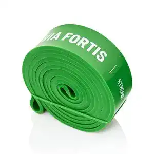 Fitnessband VIA FORTIS Premium Resistance Bands + Übungsanleitung und Tasche