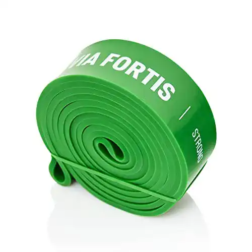 Fitnessband VIA FORTIS Premium Resistance Bands + Übungsanleitung und Tasche