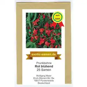 Feuerbohnen-Samen exotic-samen Prunkbohne Rot blühend