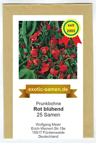 Feuerbohnen-Samen exotic-samen Prunkbohne Rot blühend