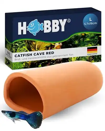 Die beste Welshöhle Hobby 41496 Catfish Cave L red (5,7 x 16 cm), Bruthöhle 2026 Test Bestseller Welshöhle Hobby 41496 Catfish Cave L red (5,7 x 16 cm), Bruthöhle