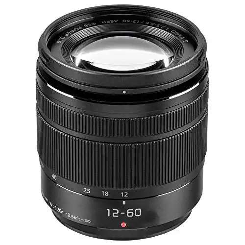 Panasonic-Objektiv Panasonic H-FS12060E LUMIX G Vario