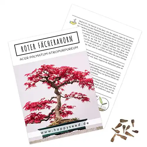 Bonsai-Samen HappySeed Außergewöhnliche Bonsai Samen
