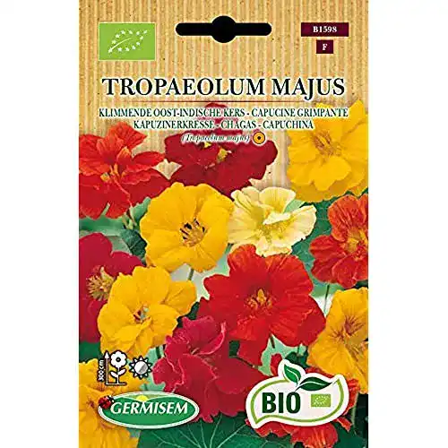 Kapuzinerkresse-Samen Germisem TROPAEOLUM MAJUS
