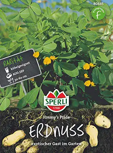 Erdnuss-Samen Sperli Gemüsesamen Erdnuss Jimmy’s Pride, grün