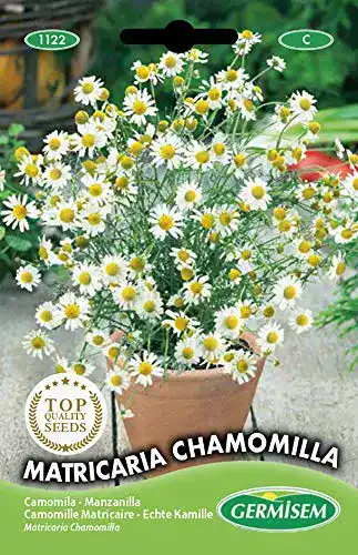 Kamille-Samen Germisem KAMILLE, mehrfarbig, EC1122