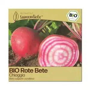 Rote-Beete-Samen Samenliebe BIO, alte Sorte Chioggia süß