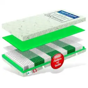 Taschenfederkernmatratze 120 x 200 Matratzen Perfekt, Aloe-Vera