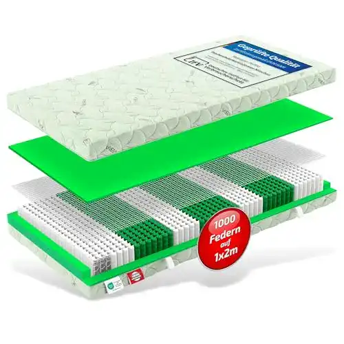 Taschenfederkernmatratze 100 x 200 Matratzen Perfekt Aloe-Vera