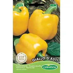 Paprika-Samen Germisem Paprika ASTI EC5014 mehrfarbig