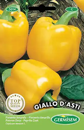 Paprika-Samen Germisem Paprika ASTI EC5014 mehrfarbig