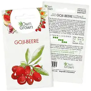 Beeren-Samen OwnGrown Goji Beeren Samen: 4 Goji Pflanzen
