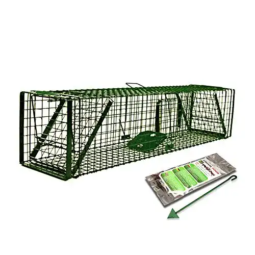 Lebendfalle Holtaz Fallen Hardy Grün 180x34x34 cm 2 Türen
