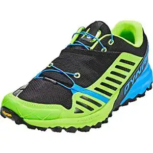 Trailrunningschuhe DYNAFIT Alpine Pro Trail-Schuhe, für Herren