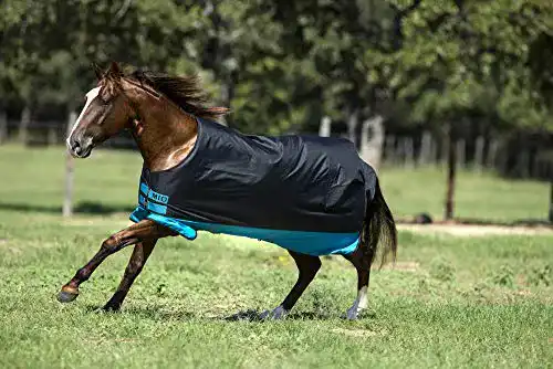 Winterdecke Pferd Horseware Mio Turnout Medium Pferdedecke