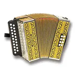 Hohner-Akkordeon Hohner 2915 GC EN SOL/DO Diatonische Akkordeonen