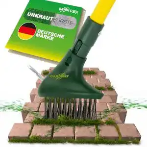 Fugenbürste Gardi Rex Gardi 21122 Rex grün gelb Unkrautbürste