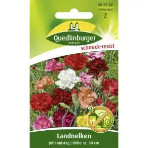 Nelken-Samen Vertriebsgesellschaft Quedlinburger Saatgut mbH