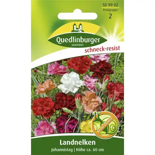Nelken-Samen Vertriebsgesellschaft Quedlinburger Saatgut mbH