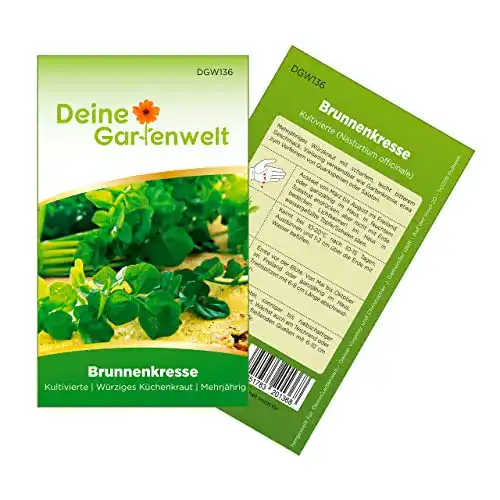 Kressesamen Deine Gartenwelt Nasturtium officinale