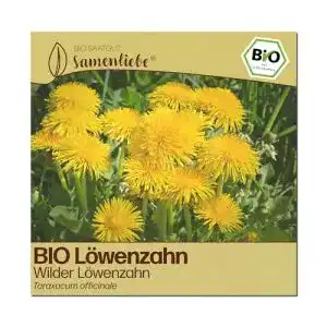 Löwenzahn-Samen Samenliebe BIO, 800 Samen, mehrjährig