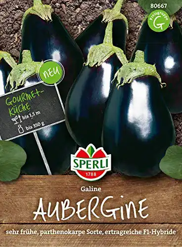 Auberginen-Samen Sperli 80667 Premium, Galine, frühe Sorte