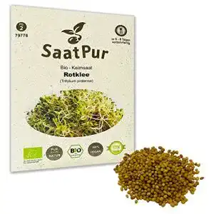 Rotklee-Samen SaatPur Bio Keimsprossen, Keimsaat für Rotklee