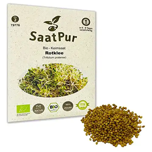 Rotklee-Samen SaatPur Bio Keimsprossen, Keimsaat für Rotklee