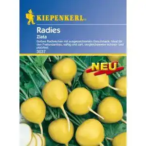 Radieschen-Samen Kiepenkerl Gelbes Radieschen Zlata