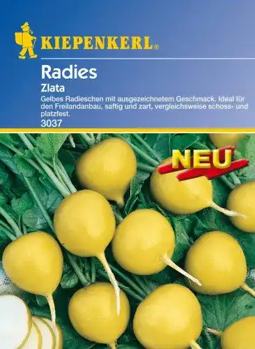 Radieschen-Samen Kiepenkerl Gelbes Radieschen Zlata