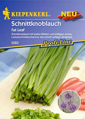 Knoblauch-Samen Kiepenkerl, Schnittknoblauch Fat Leaf