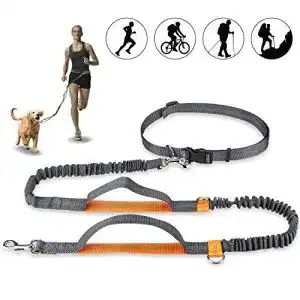 Hunde-Joggingleine Mystery Handfreie Hundeleine, Hundegürtel