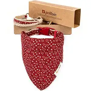 Hundehalstuch pettsie, mit Bandana Tuch, Freundschaftsarmband