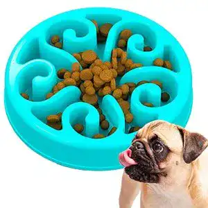 Anti-Schling-Napf Hund Edipets , Hundenapf, Antischlingnapf Hunde