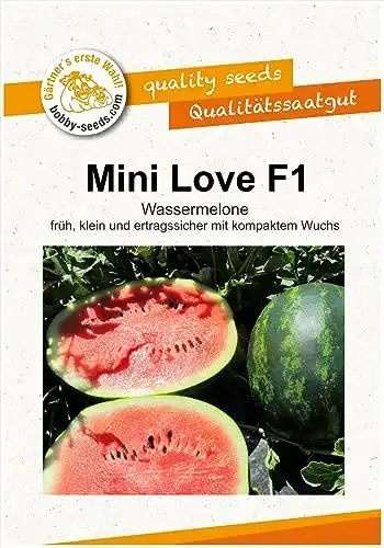 Wassermelonen-Samen Bobby-Seeds Saatzucht Mini Love F1