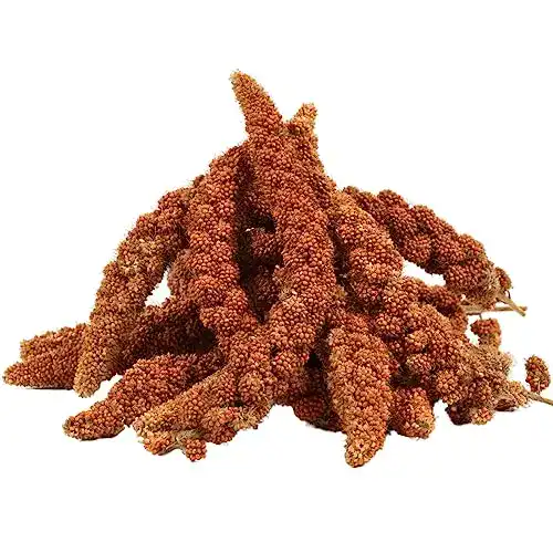 Kolbenhirse Lyra Pet ® 5 kg 5000 g rot Körnerfutter