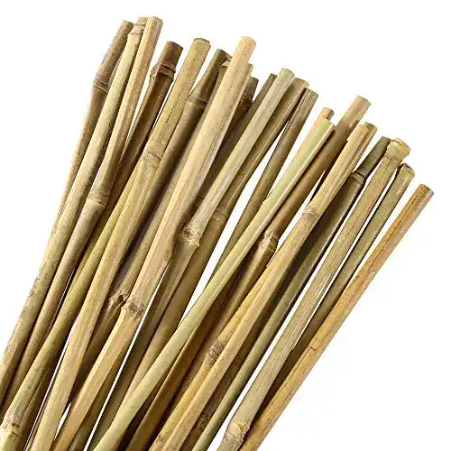 Bambusleiste Pllieay 25 Stück 60 cm Bambusstäbe, Natur