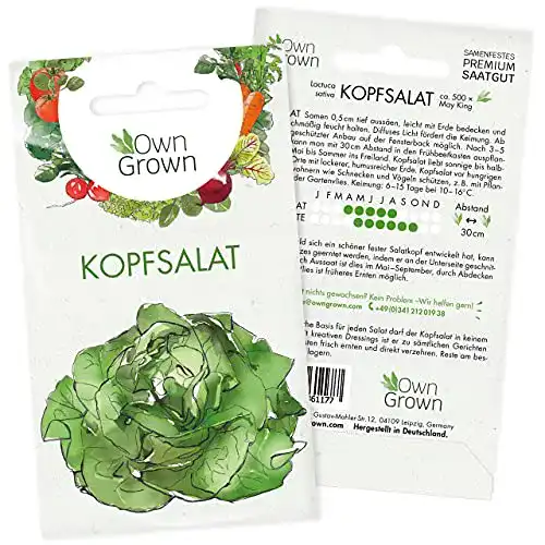 Kopfsalat-Samen OwnGrown Kopfsalat Samen, ca. 500 Pflanzen