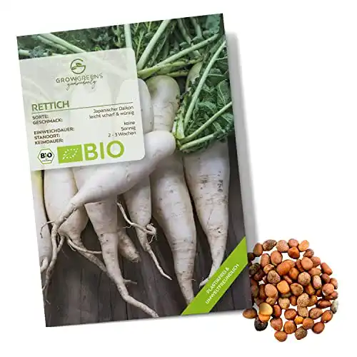 Daikon-Rettich growgreens BIO Rettich Samen