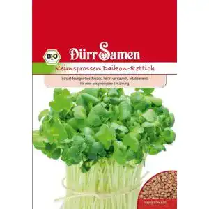 Daikon-Rettich Dürr-Samen Dürr Samen 4086 Keimsprossen Daikon