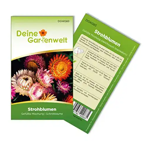 Strohblumen-Samen Deine Gartenwelt Strohblumen Gefüllte